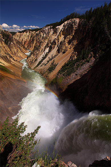 Yellowstone Canyon & Lower Falls