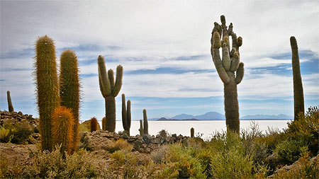 Salar d'Uyuni (Bolivia)