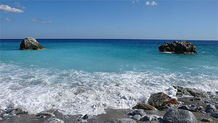 Chalara