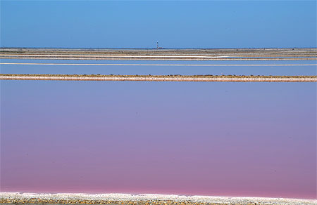 Marais salants