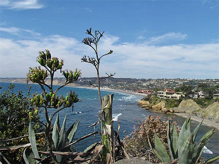 vue sur La Jolla