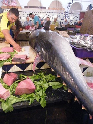 Marché aux poissons