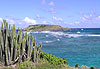 Ile de la tortue