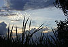 Coucher de soleil