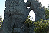 L'ours et le lion