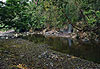 Aguas termales