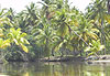 Playa Coson