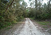 Sentier forestier de la forêt de st/ Trojan