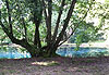 Fontaine bleu 