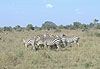 Kenya