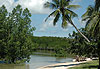 Mangrove park