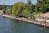 Les bords de la Limmat en été