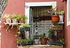 Lisbonne - Le jardin sur le balcon
