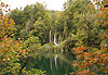 Couleurs d'automne
