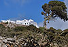 Agios Theologos