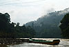 Matin au Taman Negara