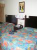 Photo hotel Hotel Riu Lupita