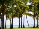 Photo hotel Hotel La Pirogue