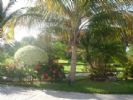 H 10 Ocean Maya