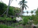 Photo hotel Freedom Beach Ko Tao