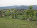 Photo hotel Quinta de Ribas