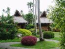 Photo hotel Pura Vida Beach & Dive Resort