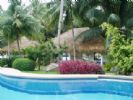 Photo hotel Pura Vida Beach & Dive Resort