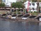 Photo hotel Club Marmara Rexene
