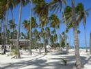 Photo hotel IFA Villas Bavaro Resort & Spa