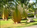 Photo hotel Hotel Be Live Canoa