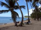 Photo hotel Coral Costa Caribe