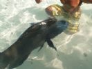 Photo hotel Muto Aito Paradise