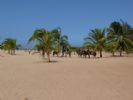 Photo hotel Lamantin Beach Hotel Spa