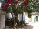 Photo hotel Auberge Sine-Saloum