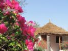 Photo hotel Campement Le Calao