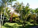 Le Matilona