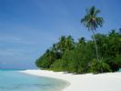 Photo hotel Meeru Island Resort