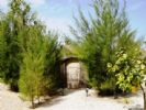 Photo hotel Ma Petite Camargue