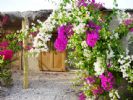 Photo hotel Ma Petite Camargue