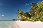 Medhufushi Island Resort