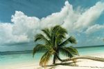 Photo hotel Filitheyo Island Resort