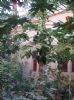 Photo hotel Palais Salam