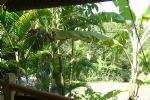 G�tes Koumbala