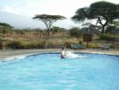 Kibo Tented Camp