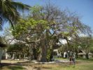 Jacaranda Indian Ocean Beach Resort