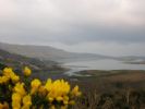 Photo hotel Bayview House Bed & Breakfast