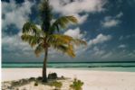 Photo hotel Velidhu Island Resort