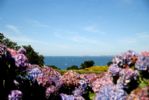 H�tel Les Costans