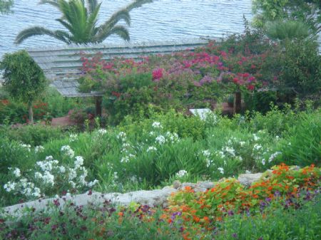 Mellieha Bay Hotel