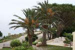 H�tel Santa Severa